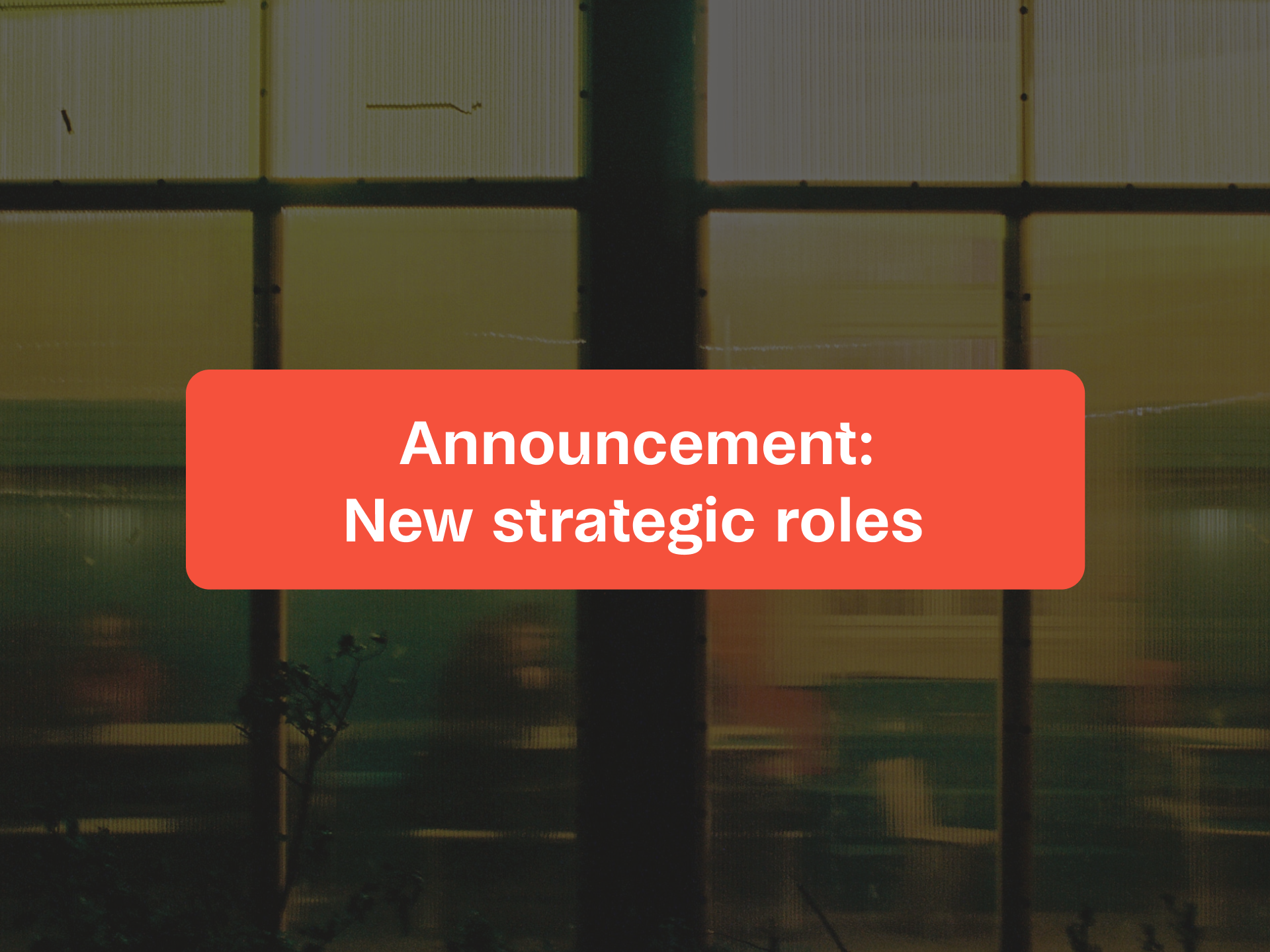 Zimpler Strengthens iGaming Division with Strategic Senior Appointments
